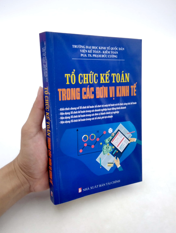 Tổ Chức Kế Toán Trong Các Đơn Vị Kinh Tế - Hình ảnh 6